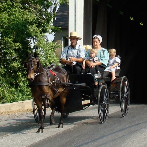 Bangsa Amish tegar mengamalkan cara hidup kurun ke-17 walaupun hidup di kurun ke-21